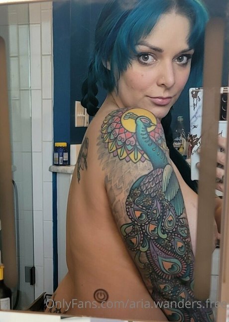 aria wanders free model art gallery