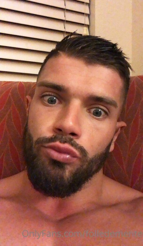 folledemente star perfect gallery