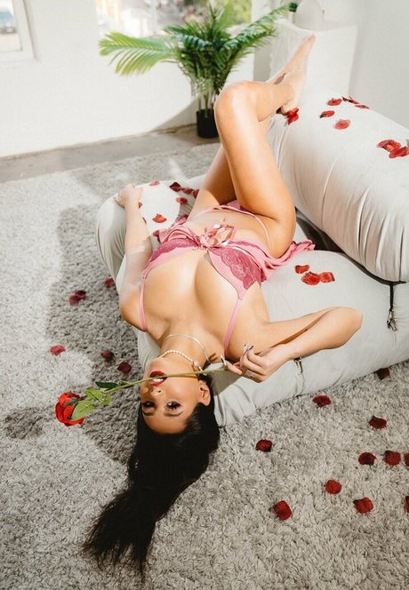 samfrank star best gallery