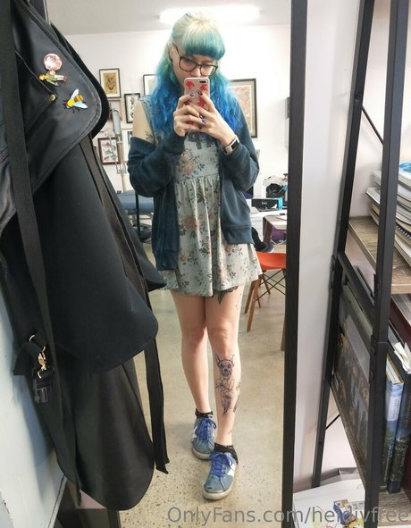 heidivfree best model img