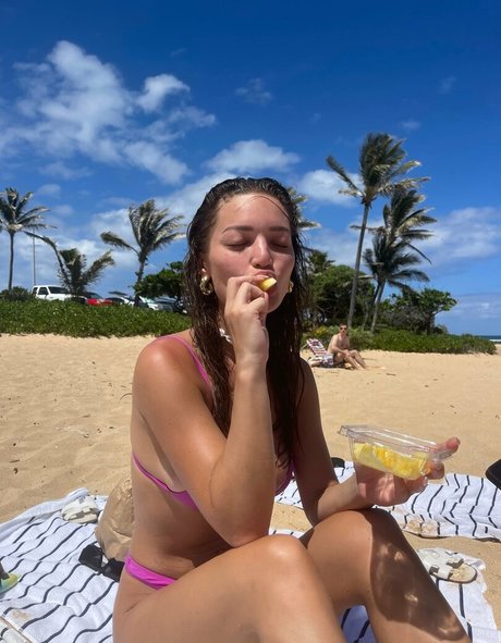 niikkirose free star img