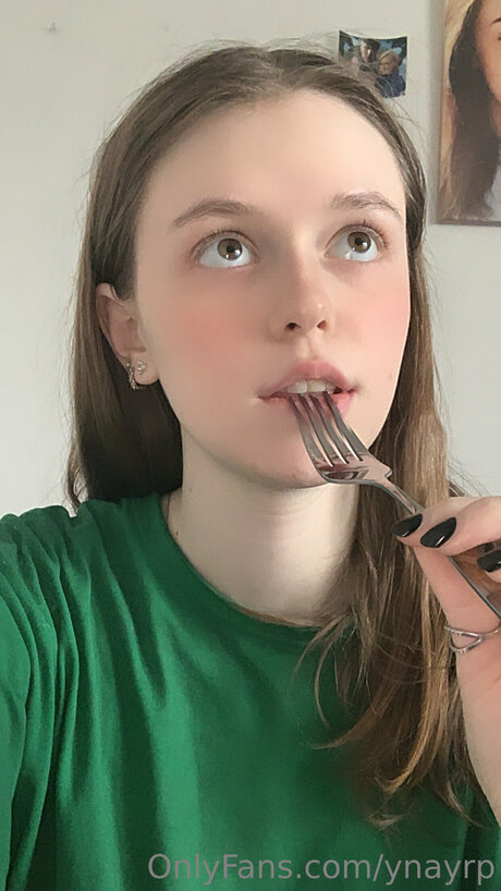 ynayrp model perfect galleries