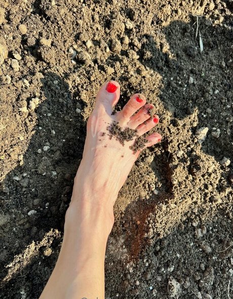 solesdreams porn star galleries