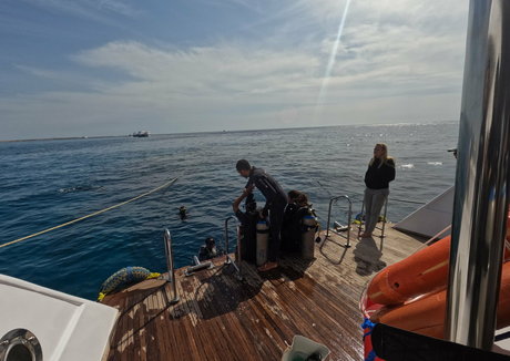 pierced nipples onlyfans free pic