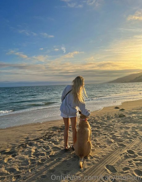 katymarioni beautiful star gallery