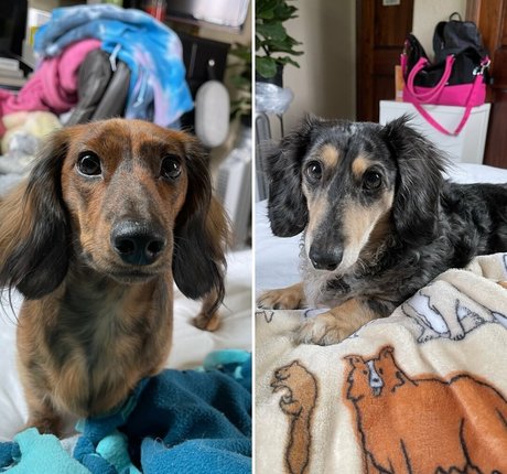 therustyranger exclusive star photo