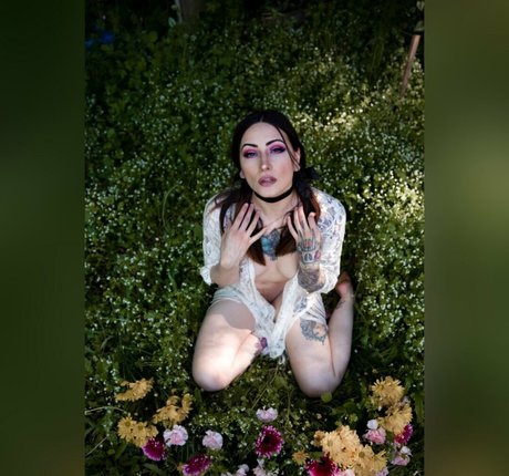 renegadephotography star perfect images