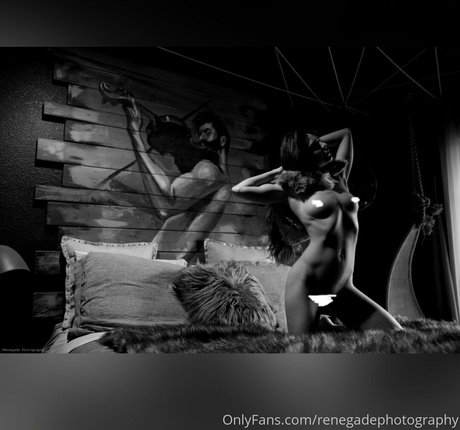 renegadephotography star free photo