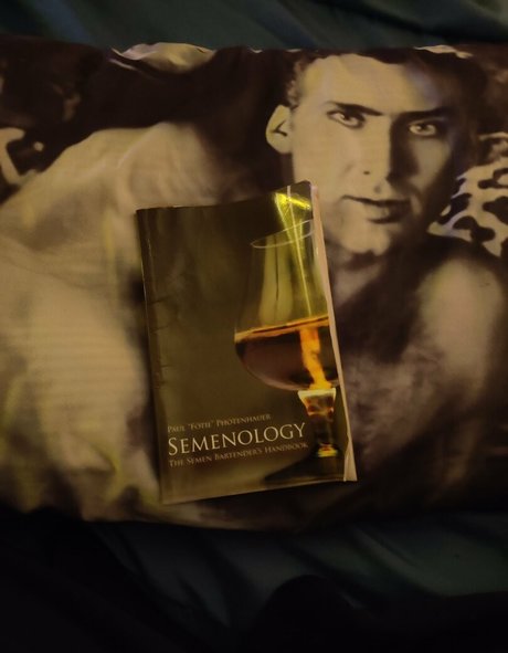 jayleneswallows star art galleries