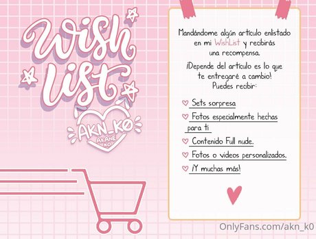 akn k0 top model img