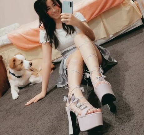 Oasisonoverwatch star top pictures