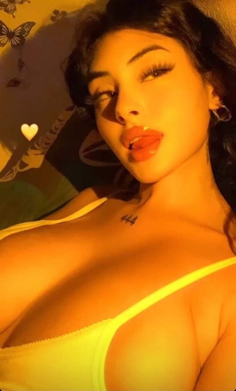 Paaaubg exclusive model archive