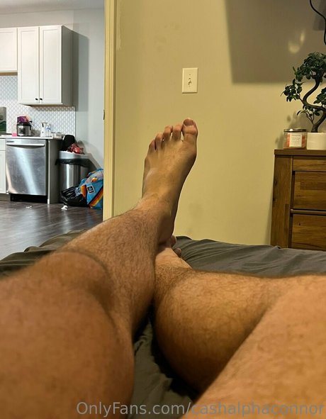 cashalphaconnor pornstar adult image