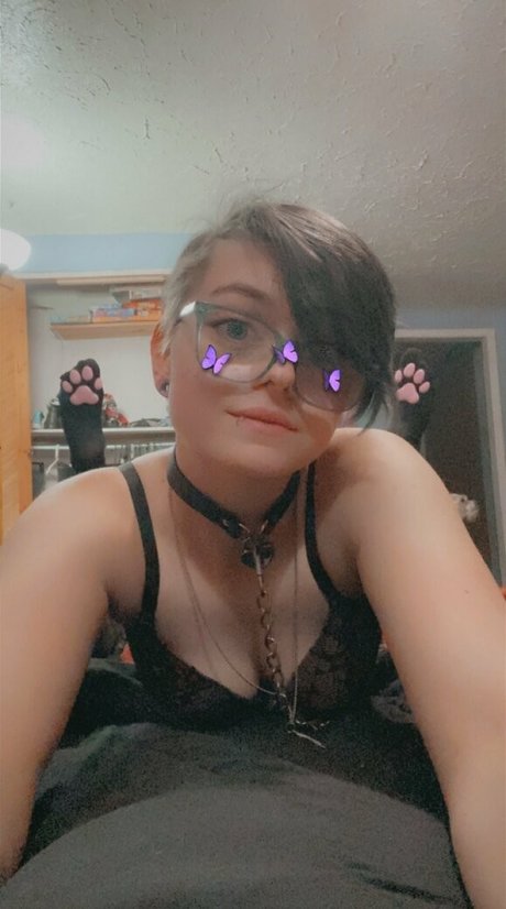 Spellbound nice pornstar galleries