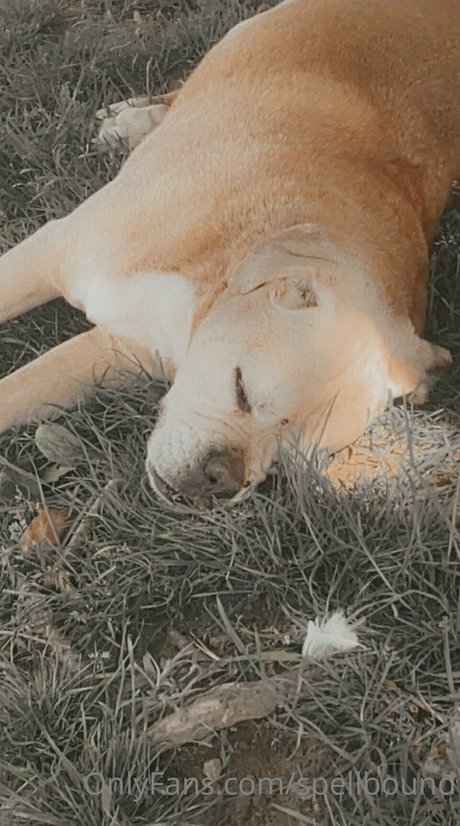 Spellbound exclusive star photo