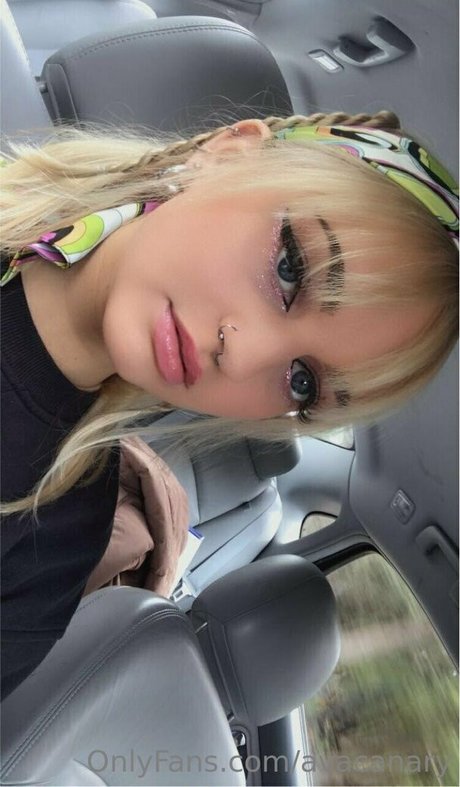 avacanary best model images