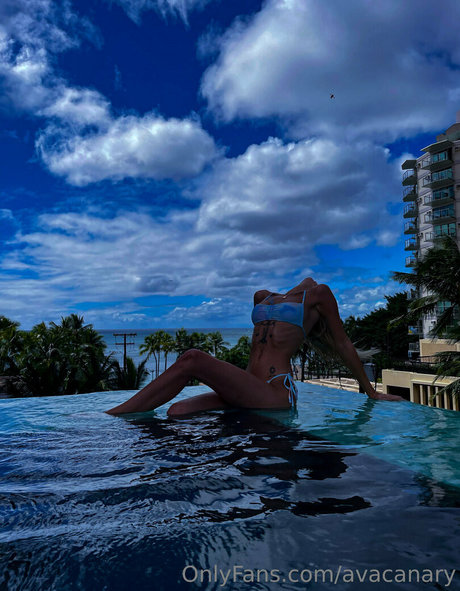 avacanary pornstar adult image