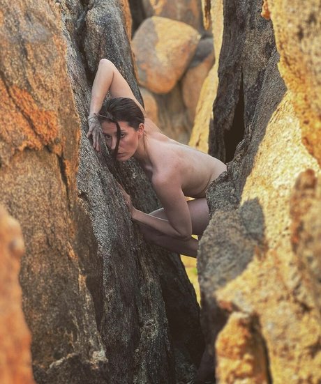 Teri Wyble star pornographic galleries