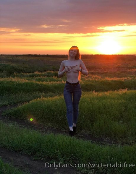 whiterrabitfree pornstar nudes img