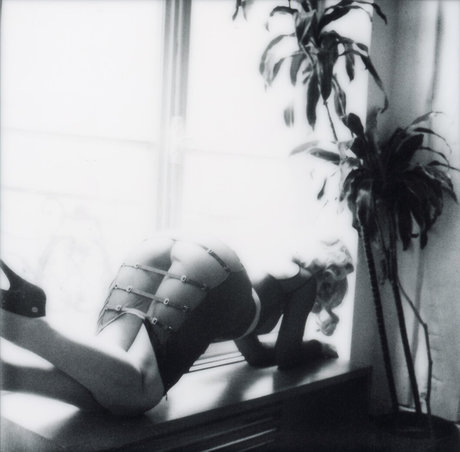 Shelbie Dimond star erotic images