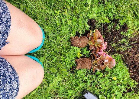 stevie stunner pornstar high quality picture