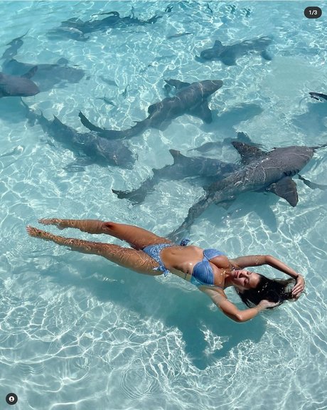 shemale interracial onlyfans porno img