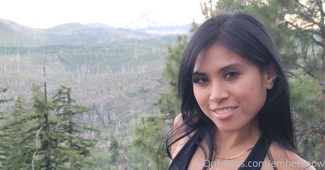 Embersnow best model image