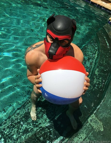 pupamp hot pornstar gallery