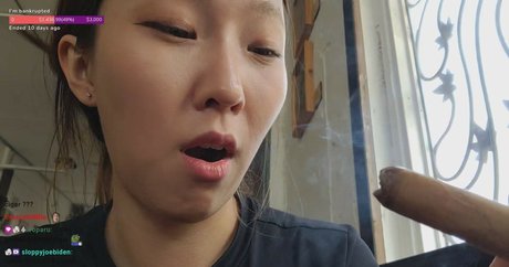 Beddle1218 star xxx img