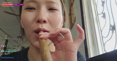 Beddle1218 model best gallery