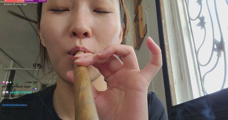 Beddle1218 art model pictures