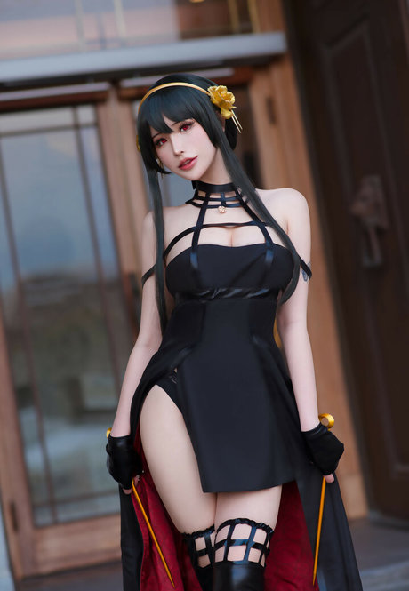 Plant Lily Profile pic