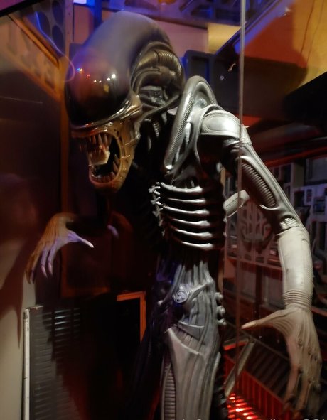 dark skin onlyfans free sexy images