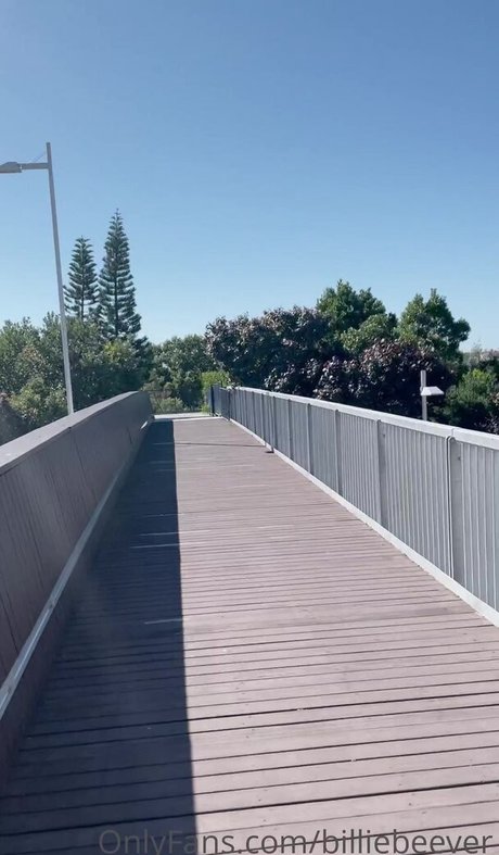 billiebeever adult star gallery