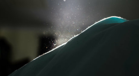 Tan Smith nudes pornstar pics