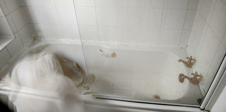 Tan Smith pornstar sex pic