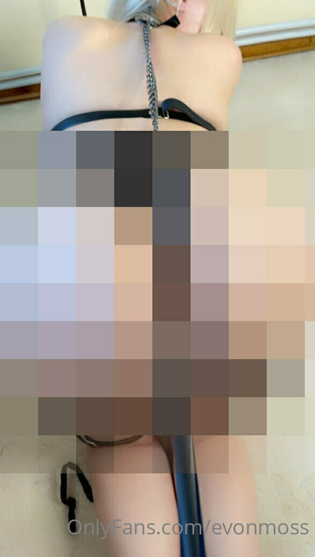 Evonmoss star beautiful images