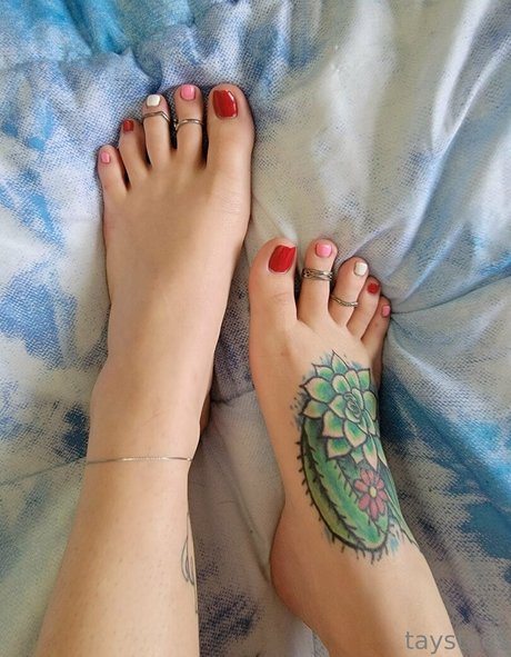 taystoes pornstar xxx archive