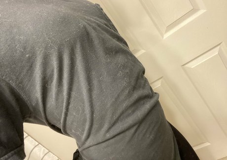 Taigs Taiga free star picture