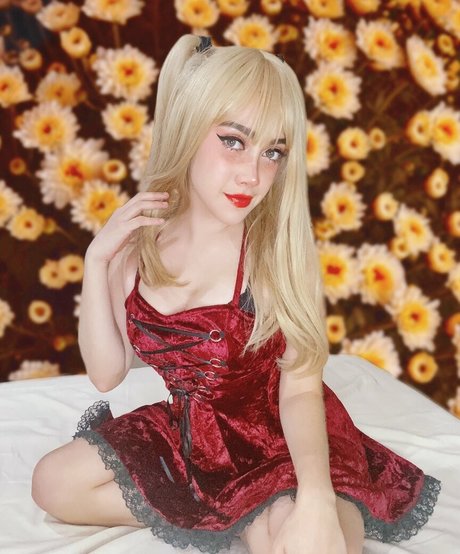 Pausotort top star images