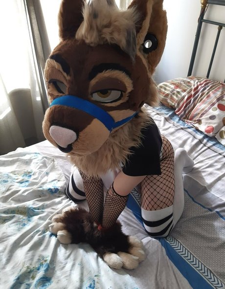 neflynxad sex model image