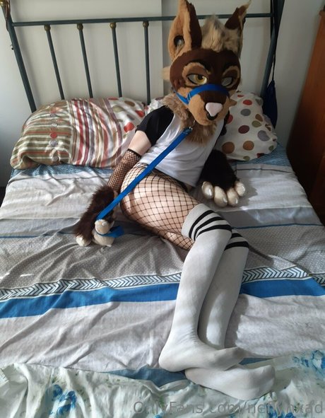 neflynxad star art archive