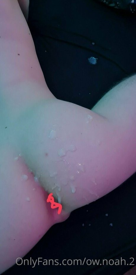 ow noah 2 beautiful star pics