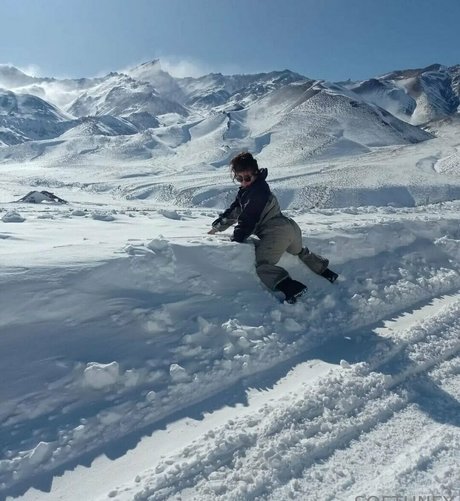 ursoftbee star adult photo