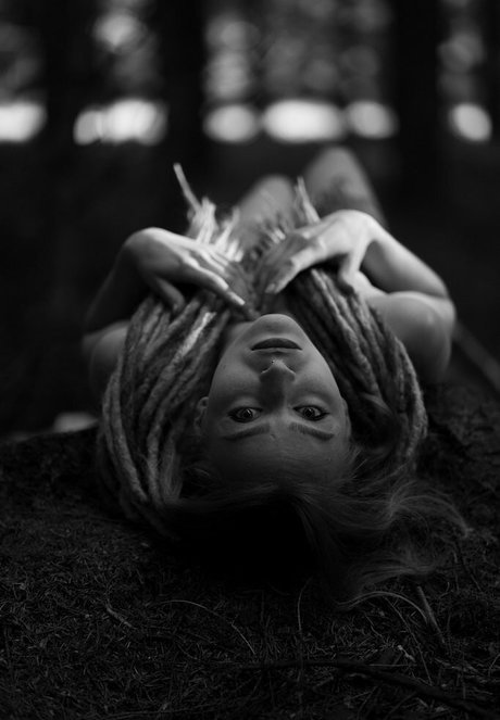 Dahlia Rex hd star images