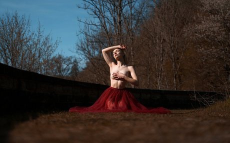 Dahlia Rex xxx star img