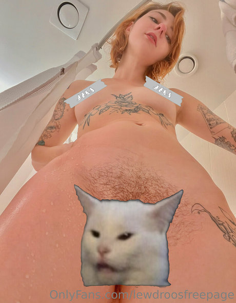 lewdroosfreepage best star image