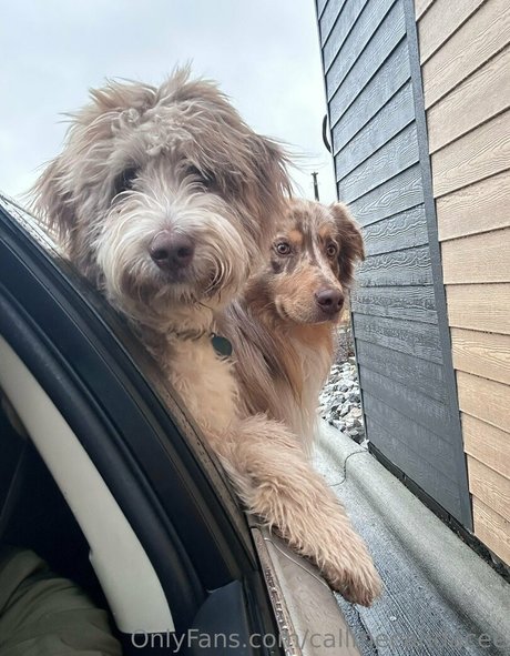 callmecandacee adult actress image