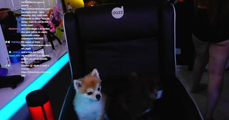 Haru Jiggly star free pics