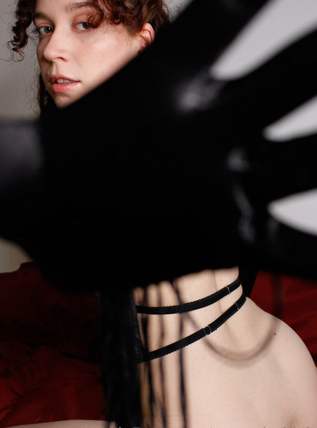 Stassybabich star archive